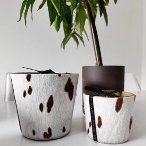 Vela Victoria Foca Brown
