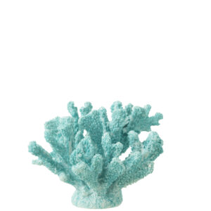 Coral Azul