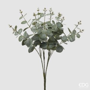Flor Eucalipto Verde