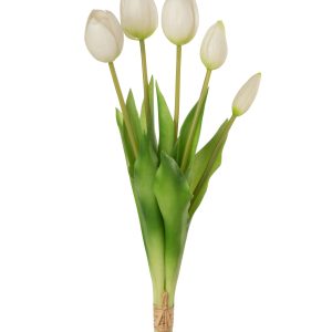 Ramo de Tulipas