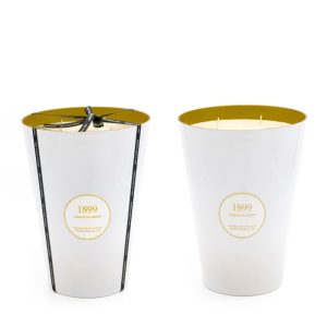 Vela Tobacco & Amber  3.5kg