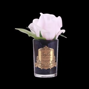 Rosa perfumada french pink