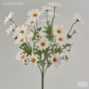 Flor Margarida