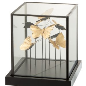 Boîte « Papillons »