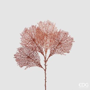 Flor Coral