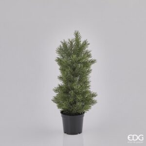 Pinheiro mini verde