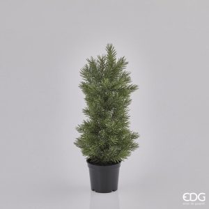 Pinheiro mini verde