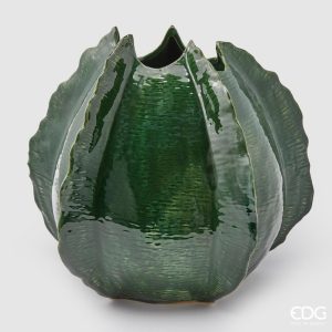 Jarra Agave