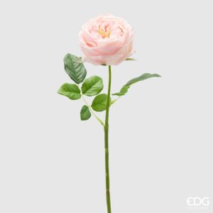 Rosa cor de Rosa