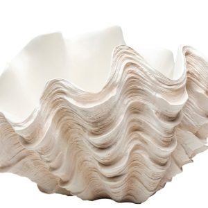 Vaso Concha Branco