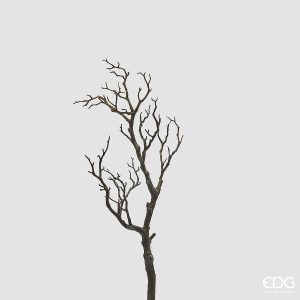 EDG- RAMO ACACIA 69CM
