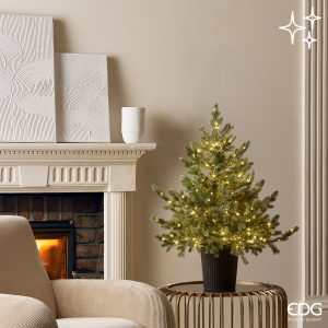 Pino Argentato com 240 LEDs
