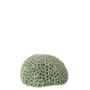 Coral Decorativo em Polirresina Verde Menta - Pequeno